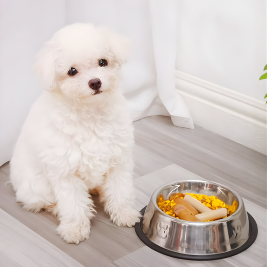 Tazón de Alto Rendimiento para Mascotas | Más Limpio, Más Duradero