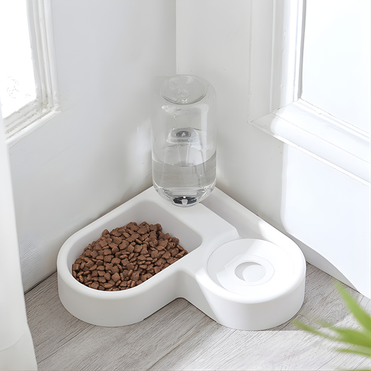 Comedero Bebedero 2 en 1 con Botella de Agua Automática