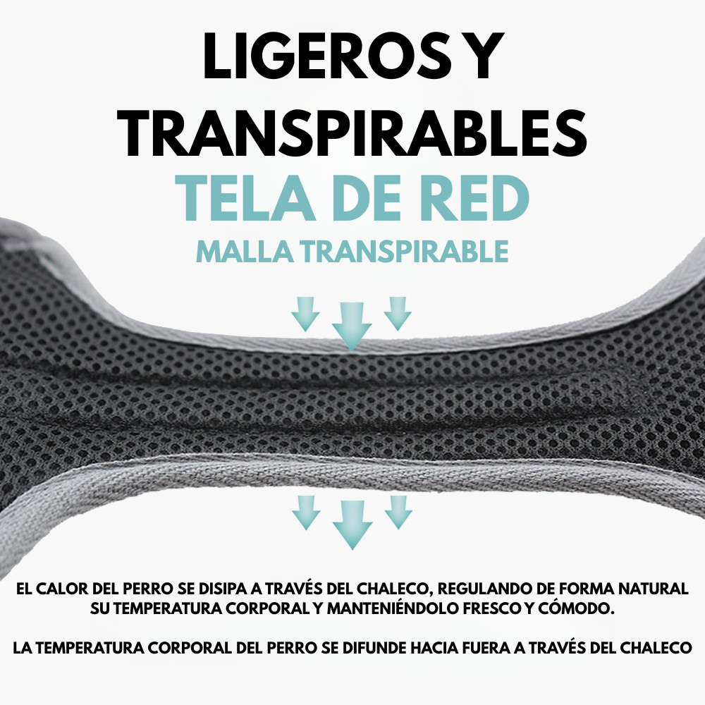 Pechera Premium para Perros | Comodidad y Control con Amor